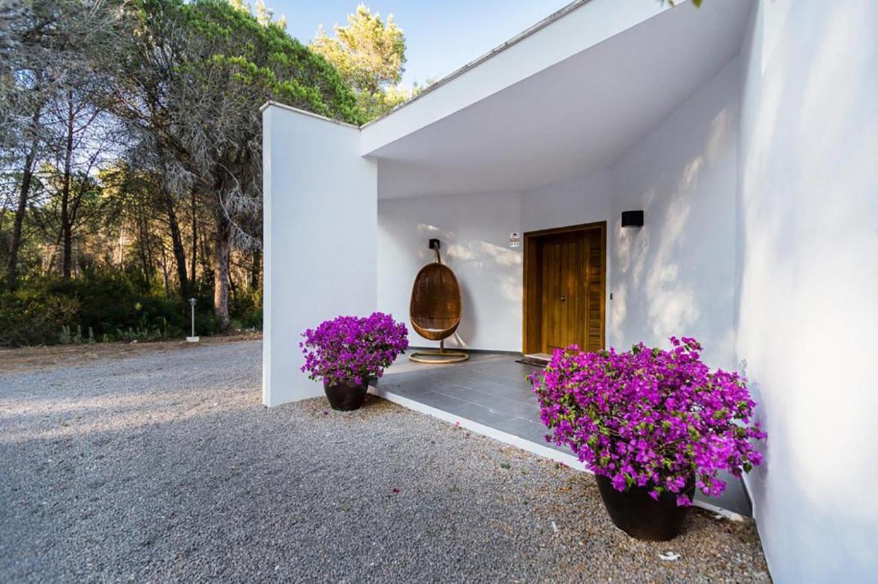 Drago * Santa Gertrudis (Ibiza)
