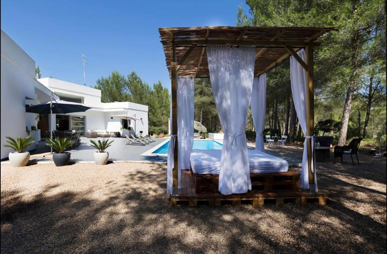 Drago Santa Gertrudis (Ibiza)
