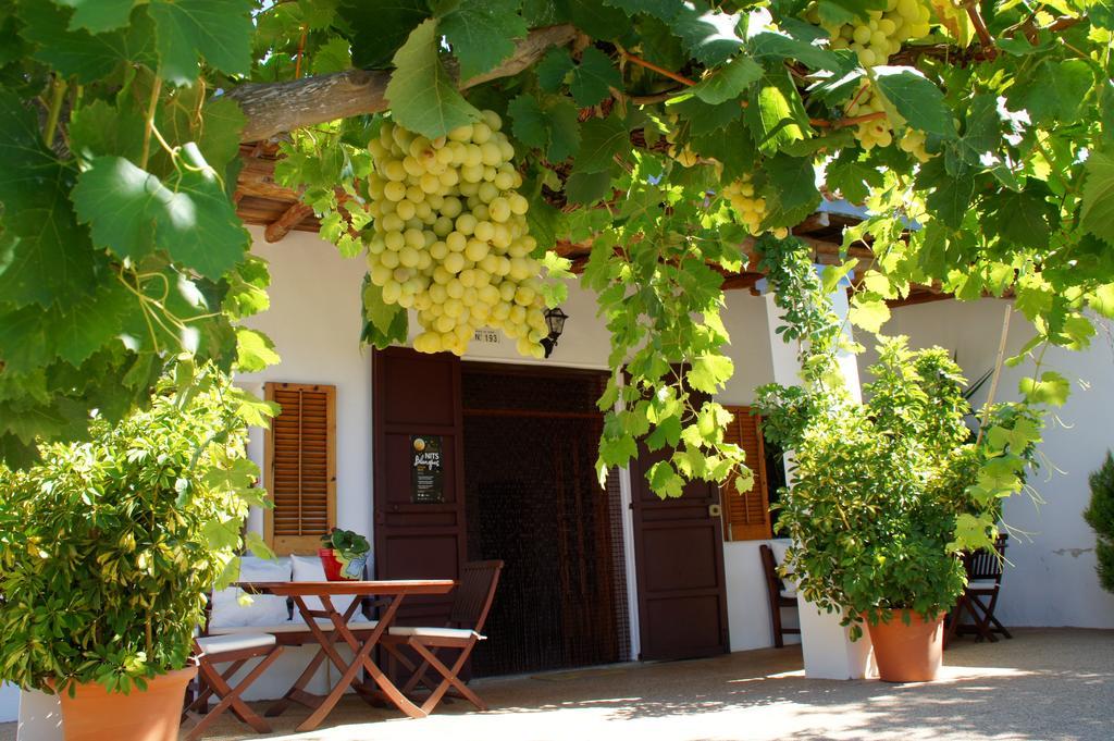 Sa Vinya D'en Palerm Farm stay