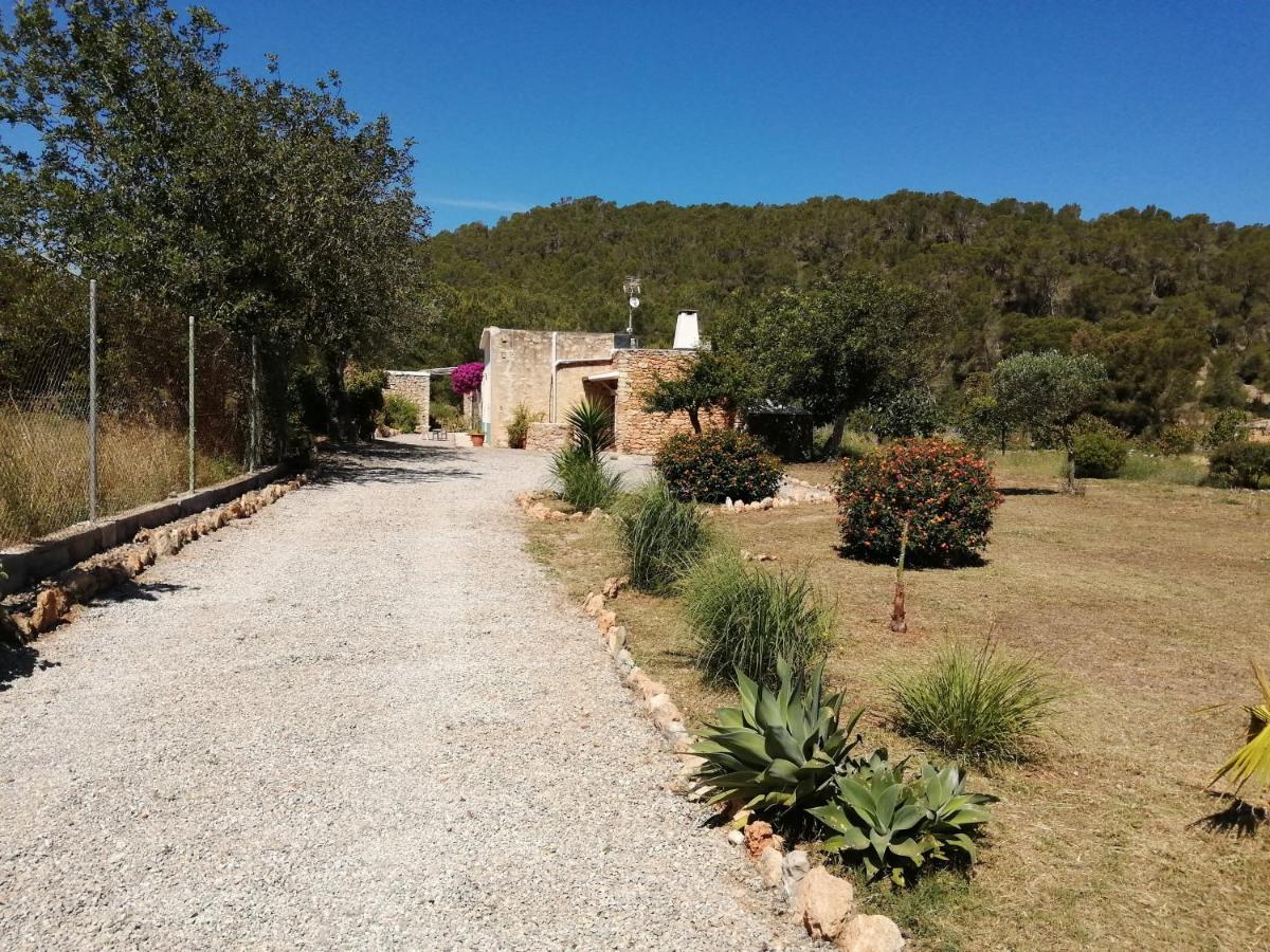 Pep Pardal Sant Miquel De Balansat