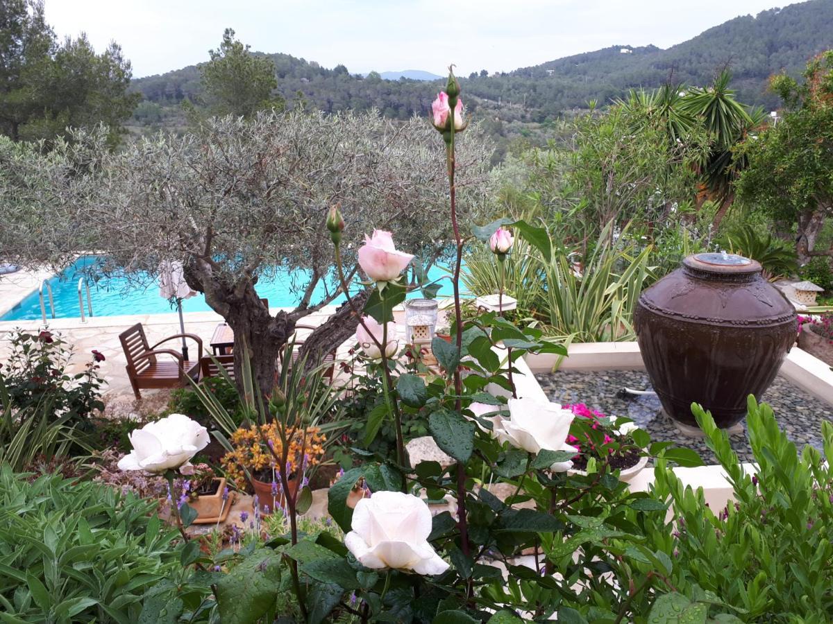 Farm stay Agroturismo Can Pardal