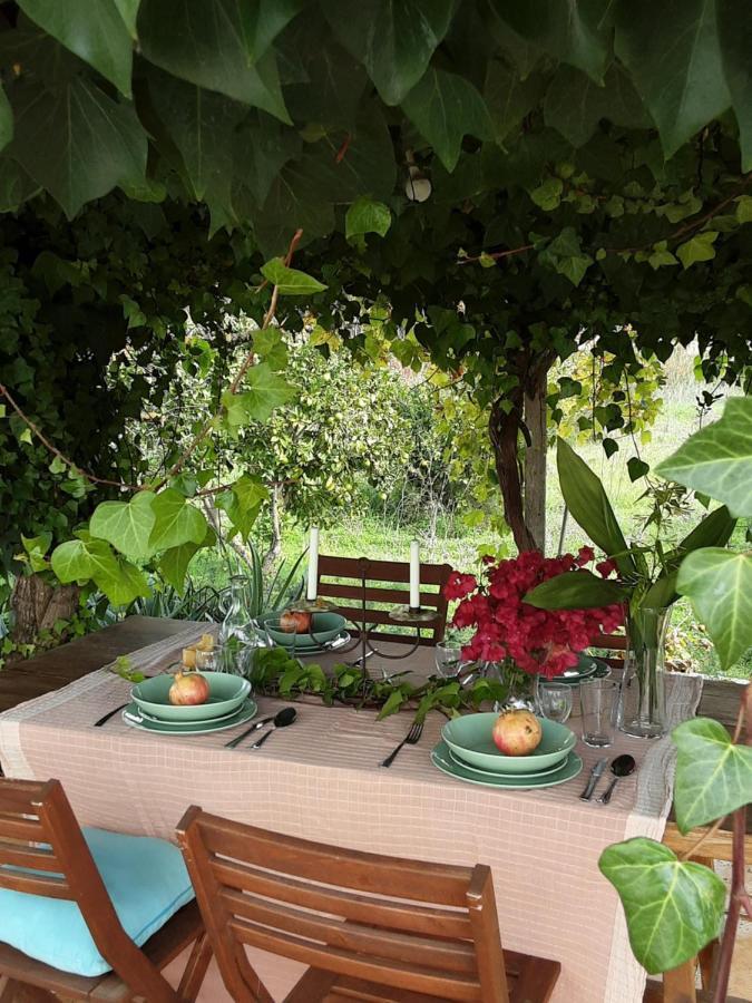 Paci Holiday home