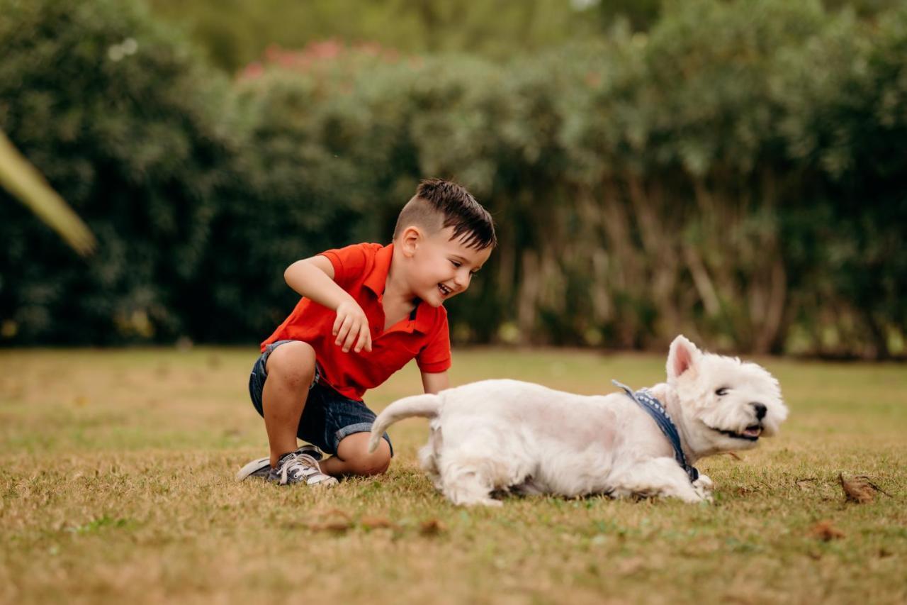 Farm stay Guillem *