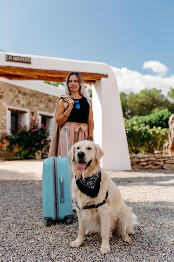 Guillem Farm stay