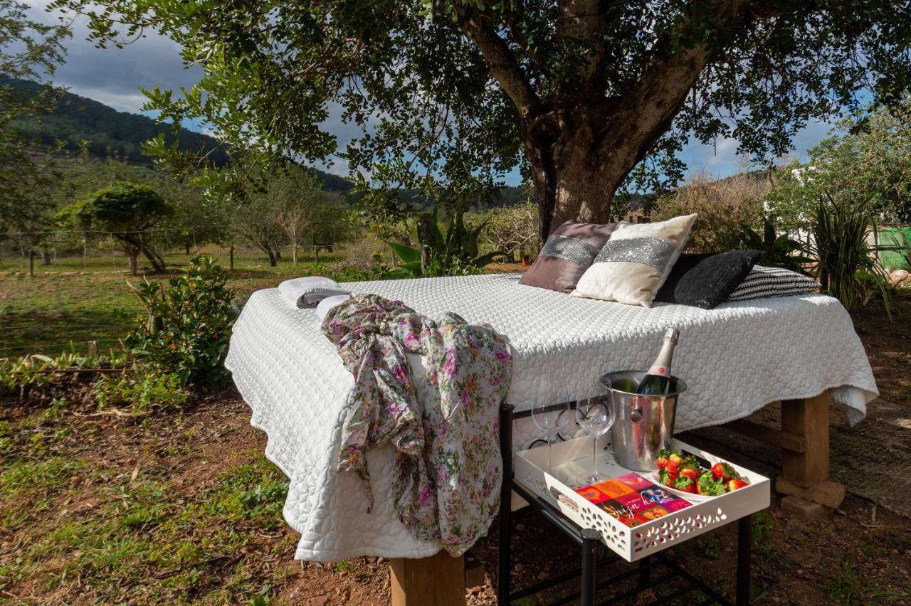 Cova Camp * San Antonio (Ibiza)