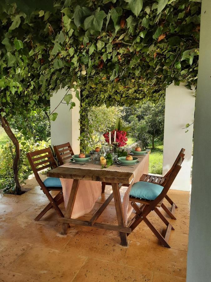 Holiday home Paci Santa Eularia des Riu
