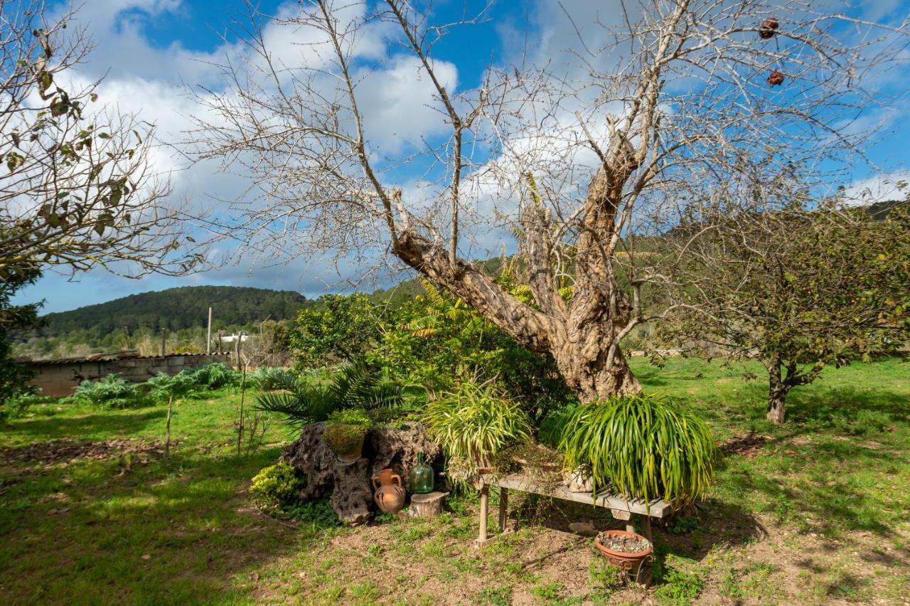 Cova Camp San Antonio (Ibiza)