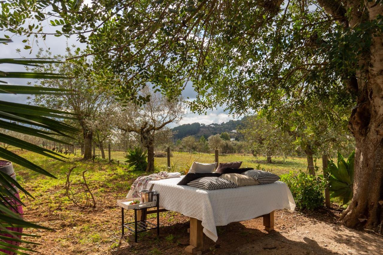 Cova Camp San Antonio (Ibiza)