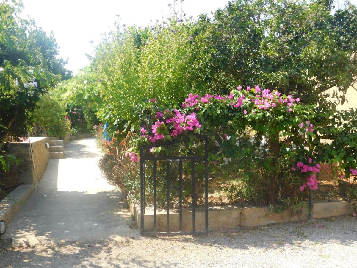 Villa Belvilla By Oyo Aubergine Sant Miquel De Balansat