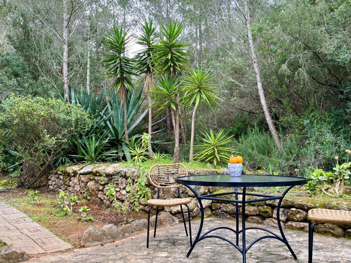 Iara Guest house Sant Miquel De Balansat
