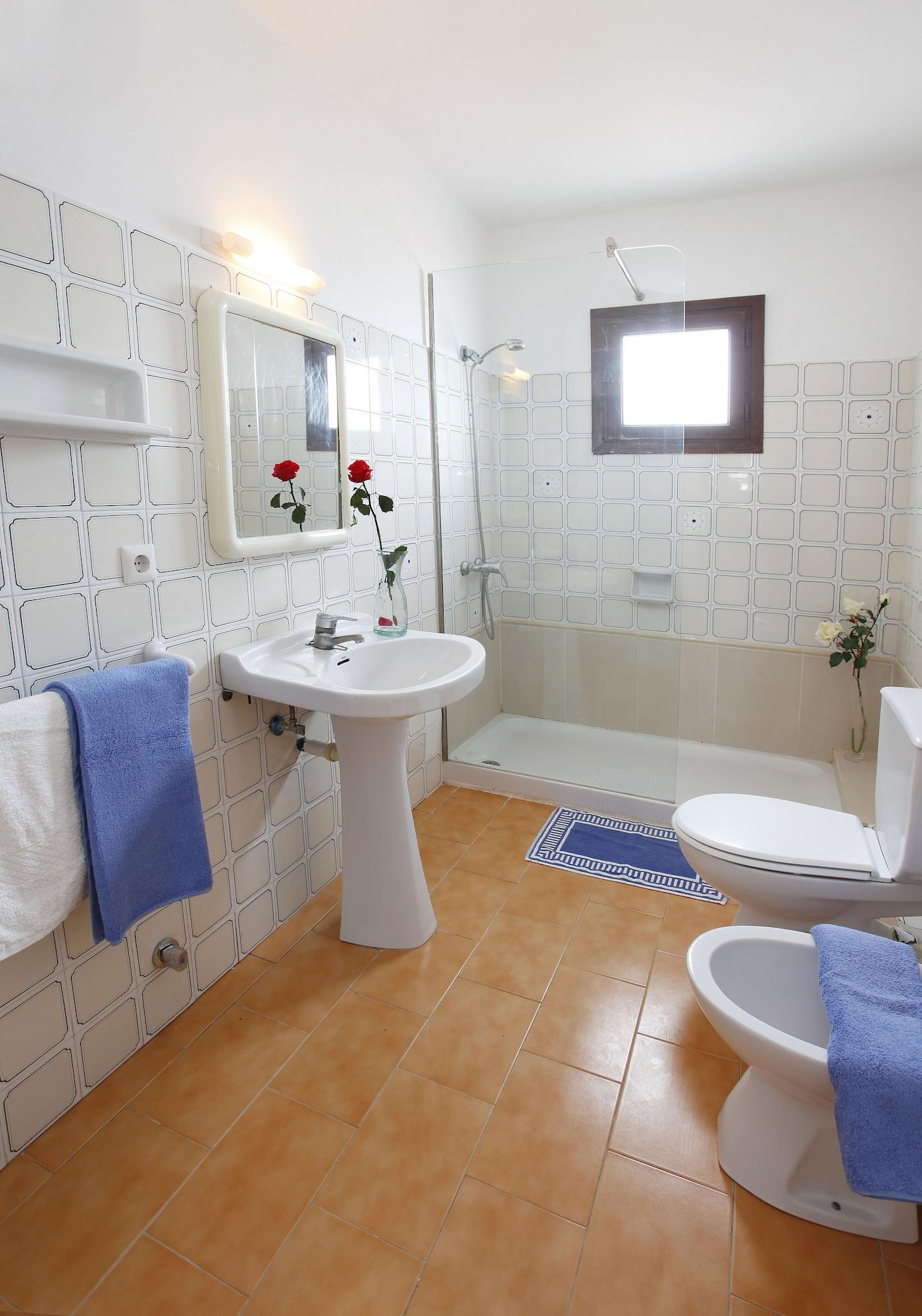 Typic Sandic * Es Canar (Ibiza)