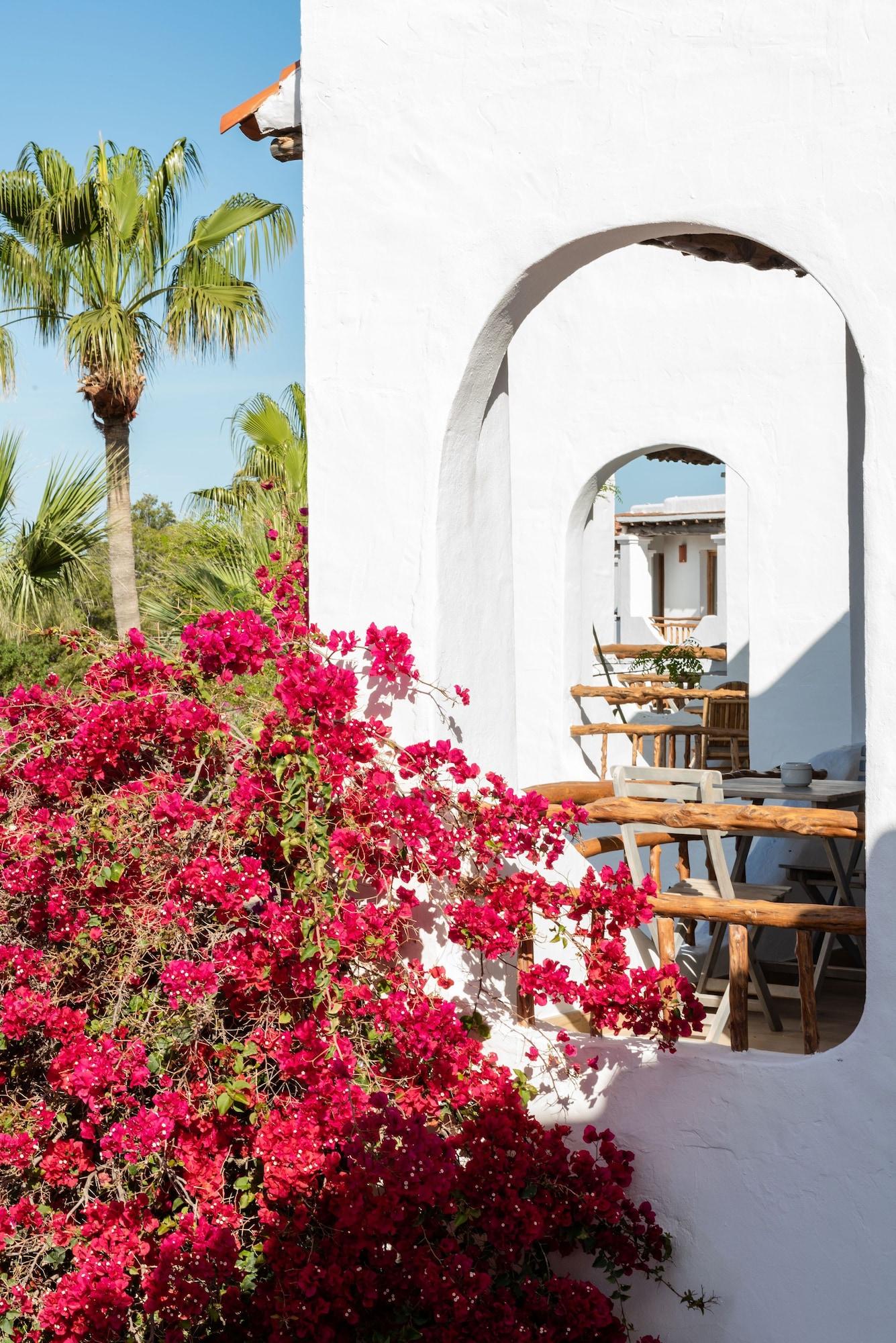 Hotel Petunia Ibiza (adults Only) Cala Vadella (Ibiza)