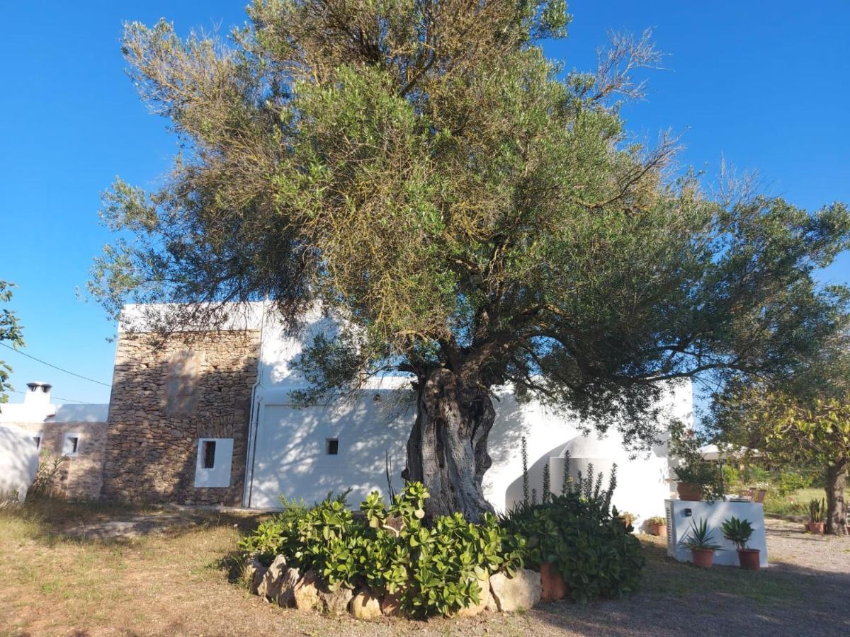 Casa Can Boletar Holiday home