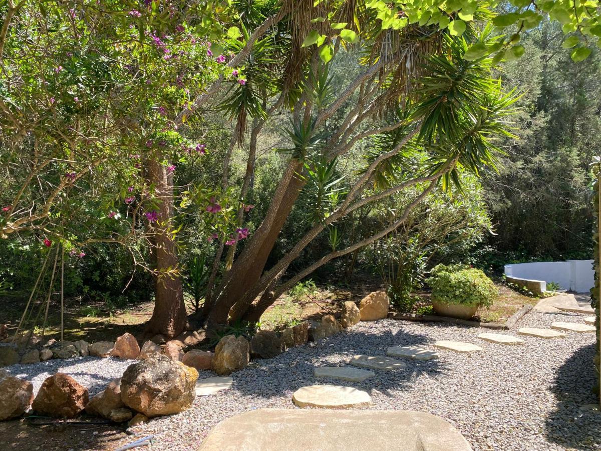 Iara Guest house