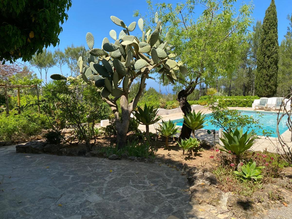 Guest house Iara 3*