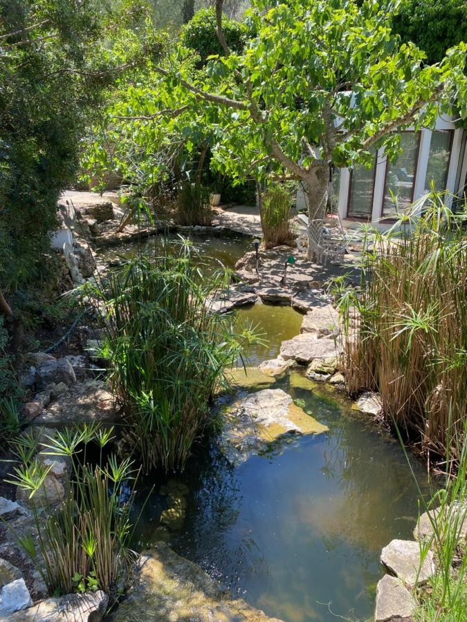 Iara Guest house 3*