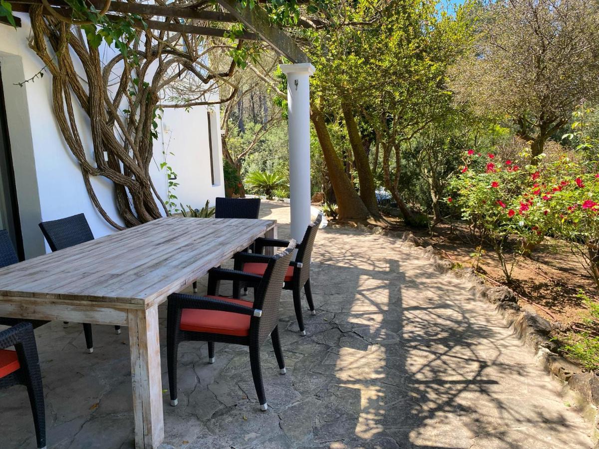 Iara Guest house
