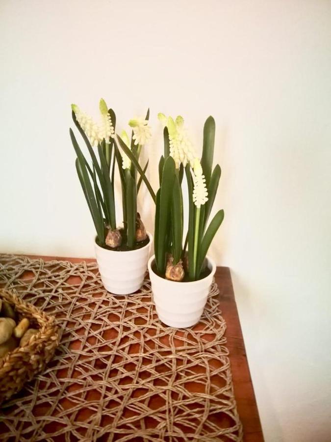 Apartamento Wink Cozy Ibiza