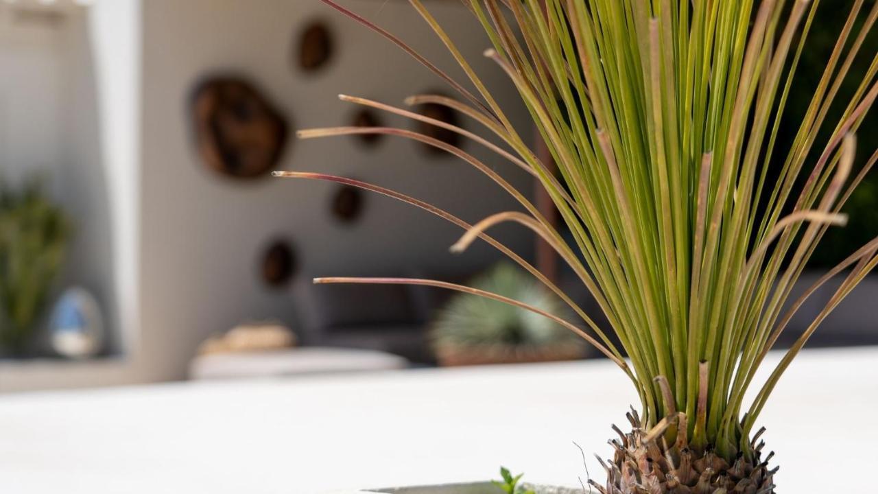 Villa Kuka-finca: Barefoot Luxury *