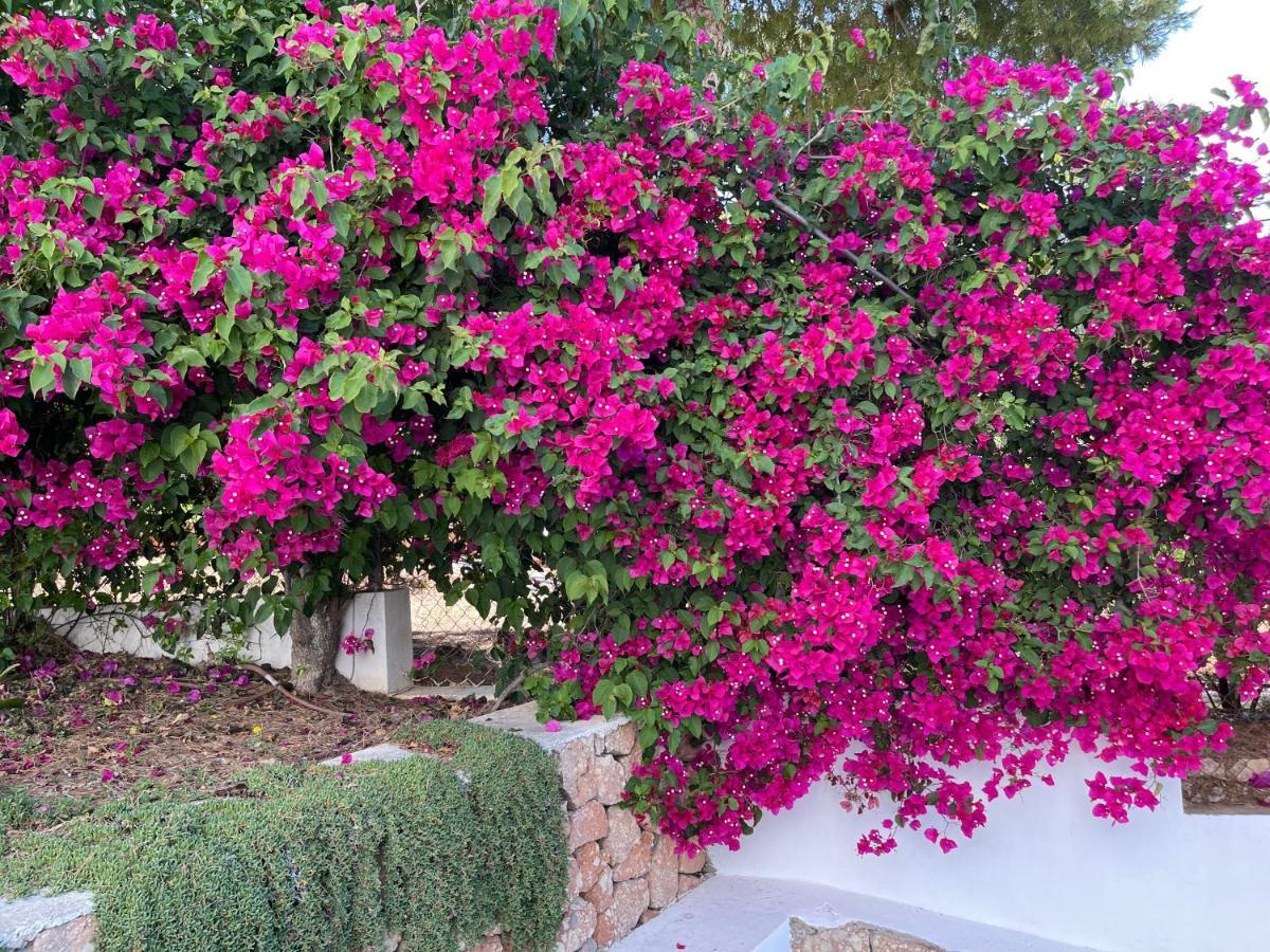 Holiday home Es Queixal - Can Canet