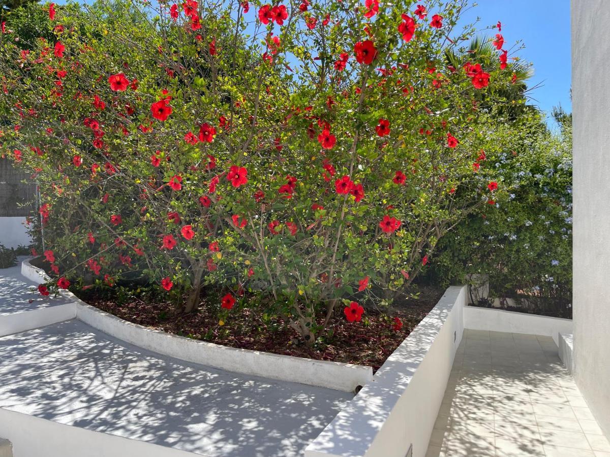 Holiday home Es Queixal - Can Canet *
