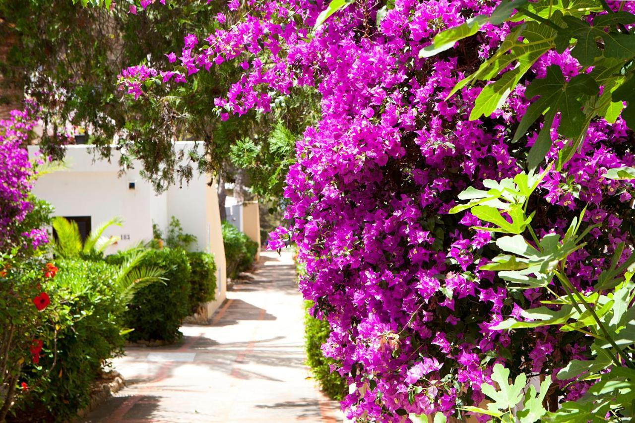 Club Cala Azul Resort