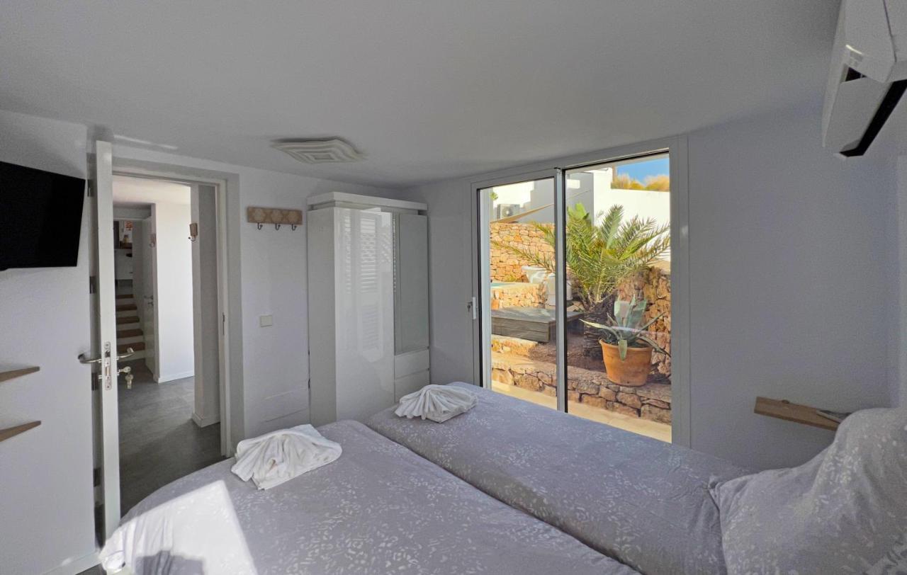 Casa Palm Tree