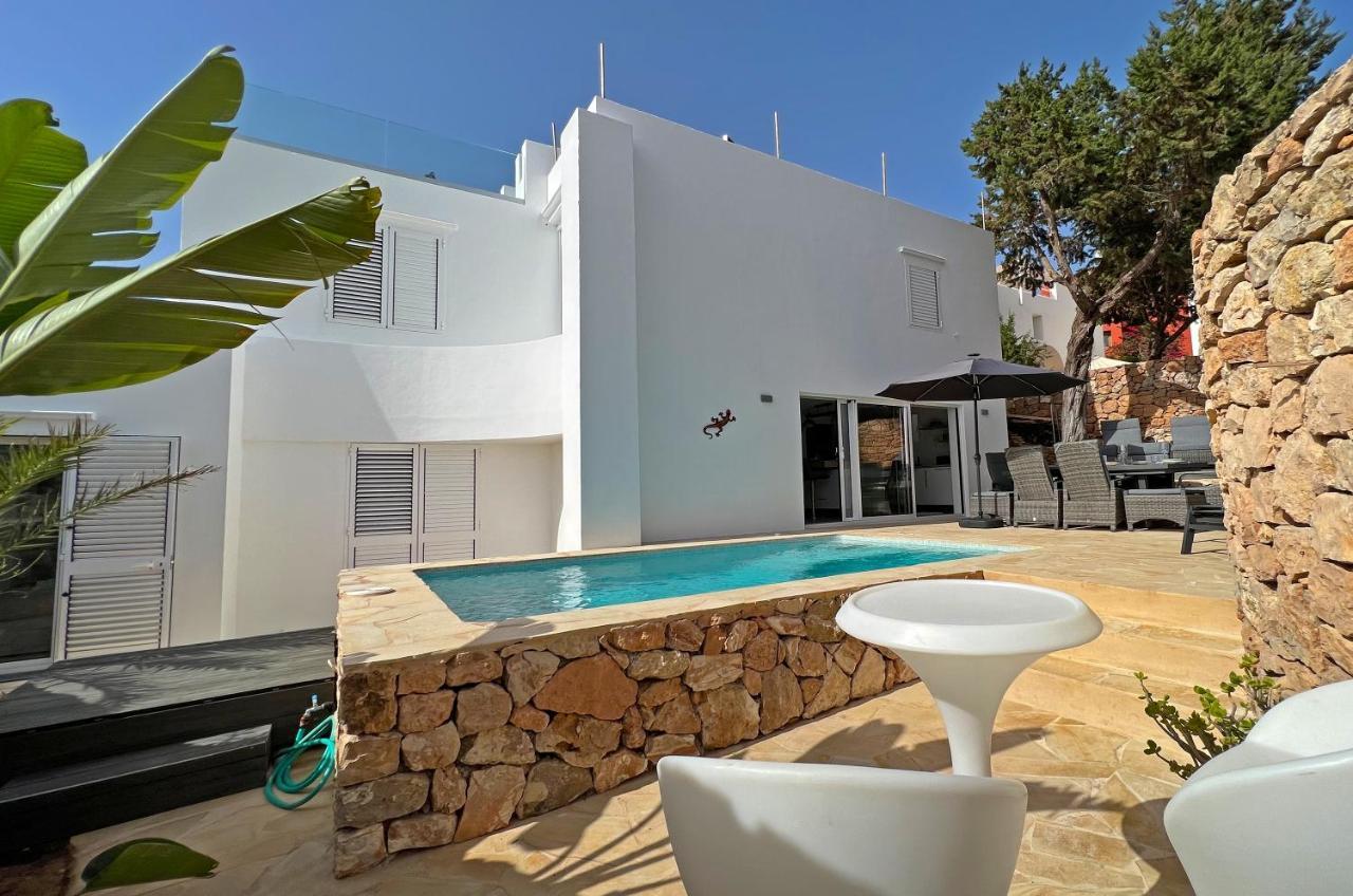 Casa Palm Tree *