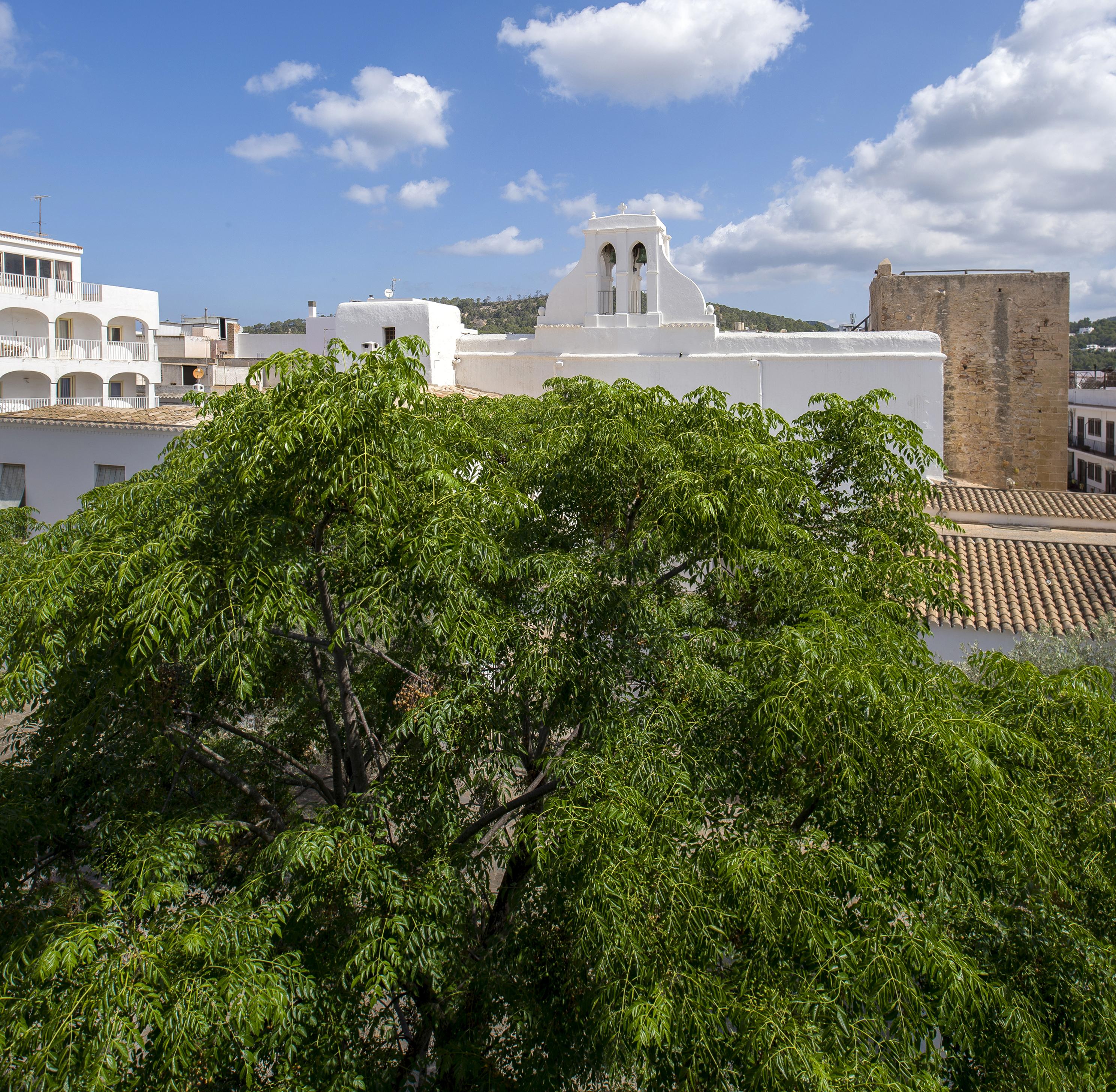 Tramuntana Apartamento San Antonio (Ibiza)