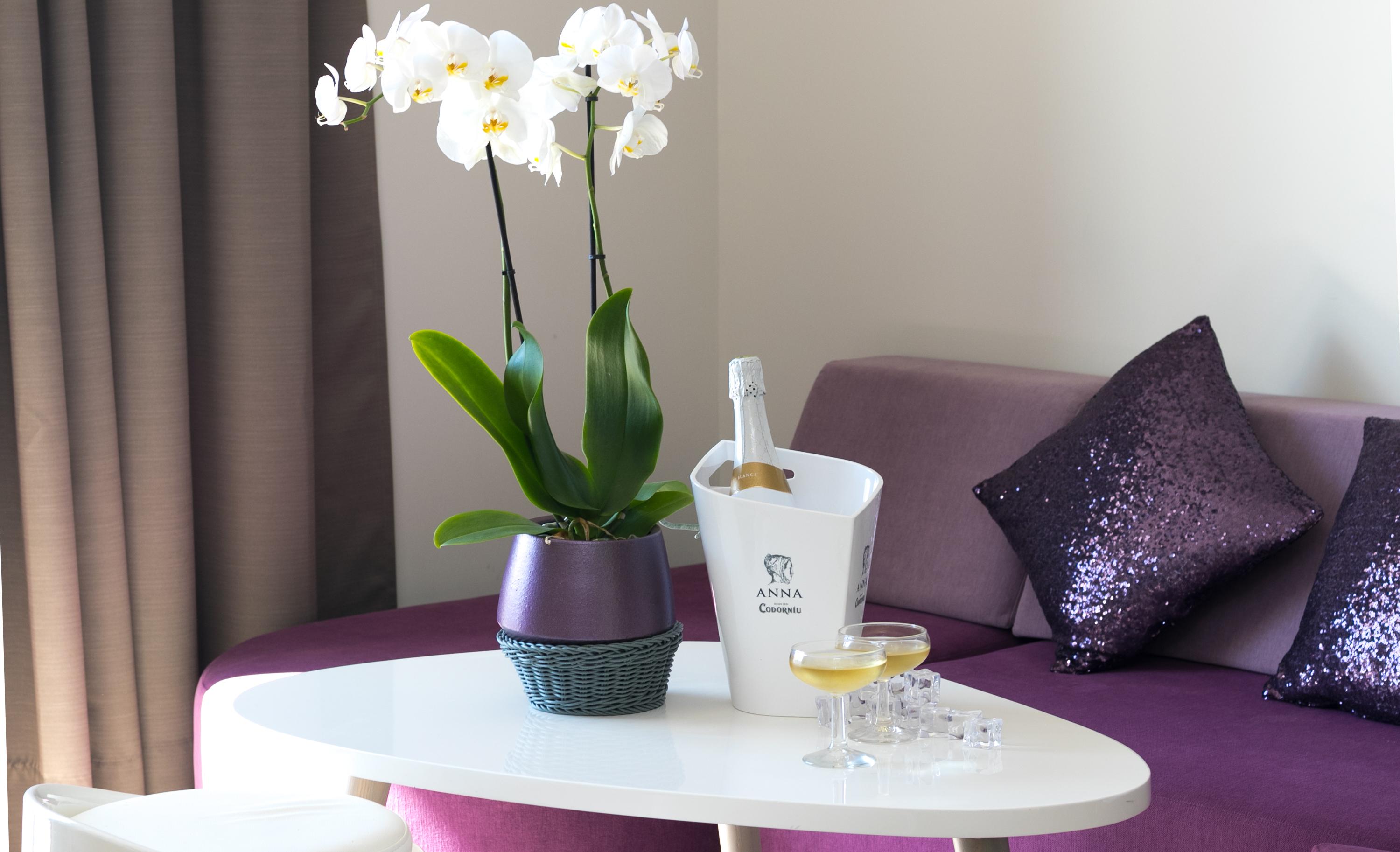 The Purple - Adults Only Hotel 3*