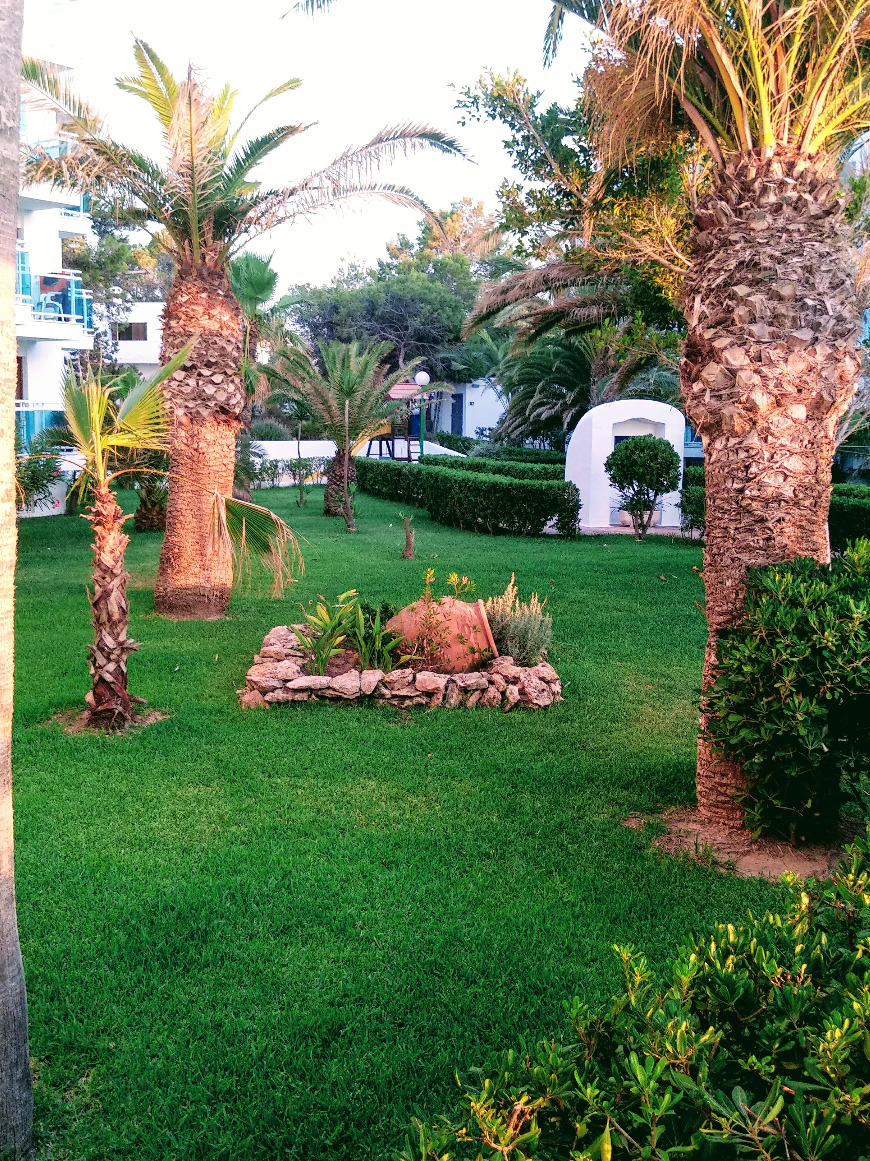Nereida 3*