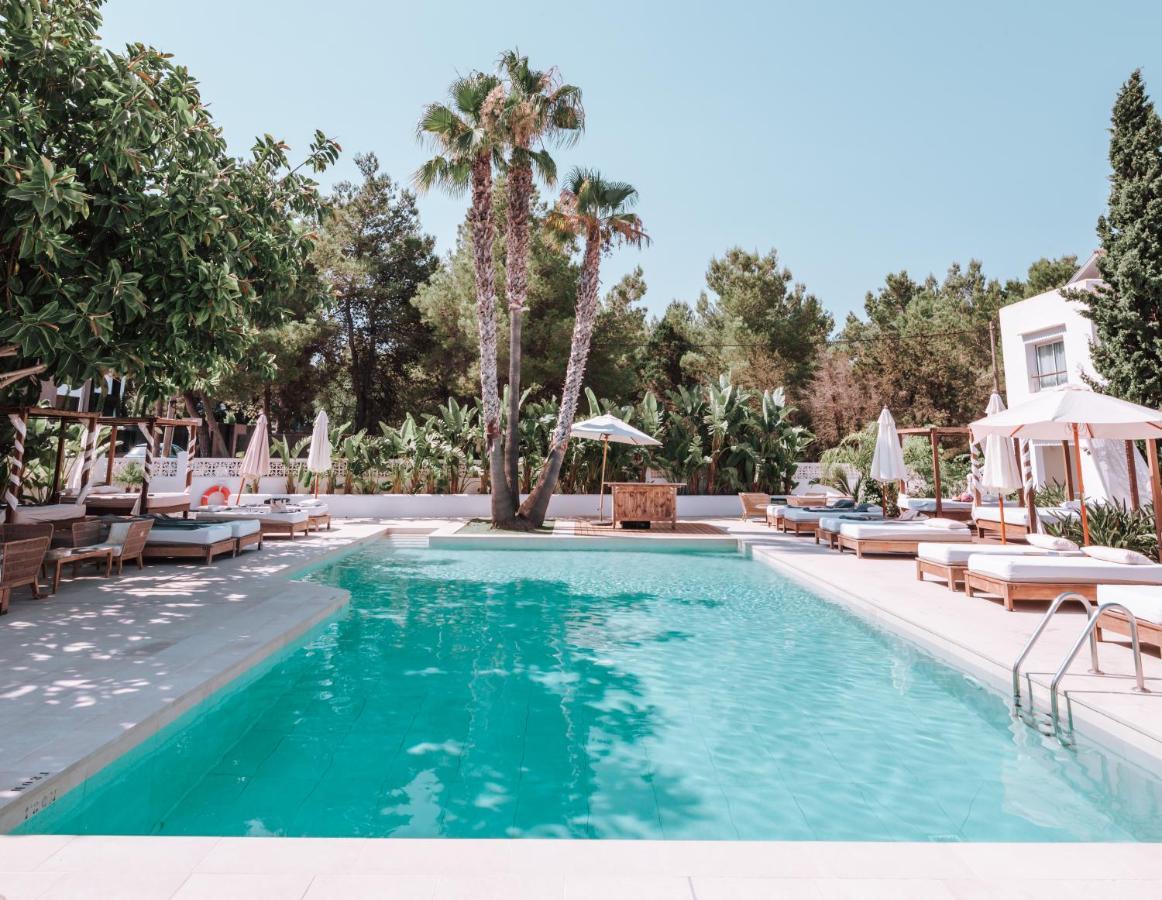 Boutique & Mimosas Ibiza (adults Only) Hotel San Antonio (Ibiza)