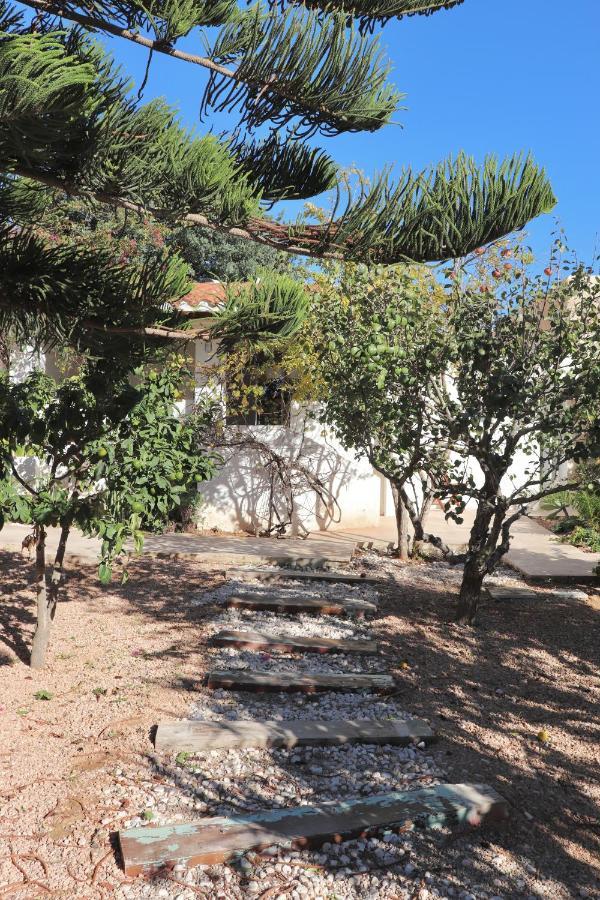 La Pandilla Ibiza * Sant Francesc de s'Estany