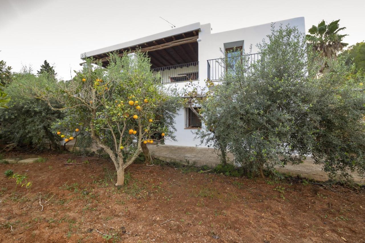 Macia Santa Eulária des Riu