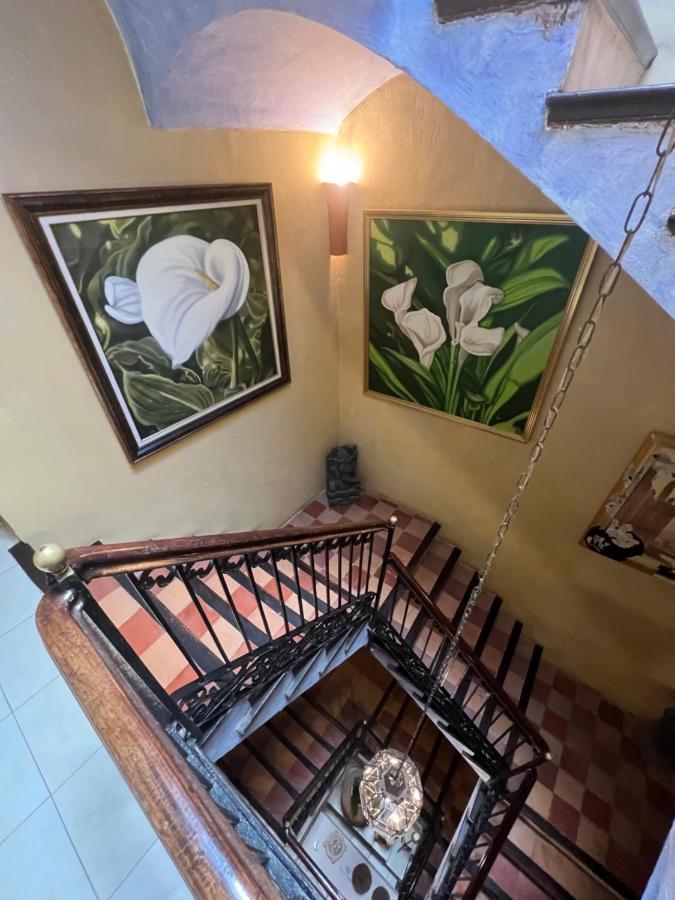 Casa de hóspedes La Ventana