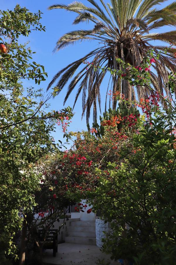 La Pandilla Ibiza Hostel