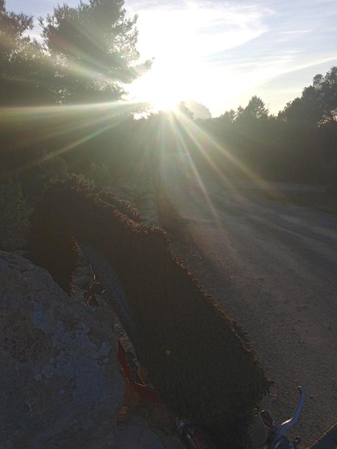 Pirats Des Vedra Tenda de luxo *