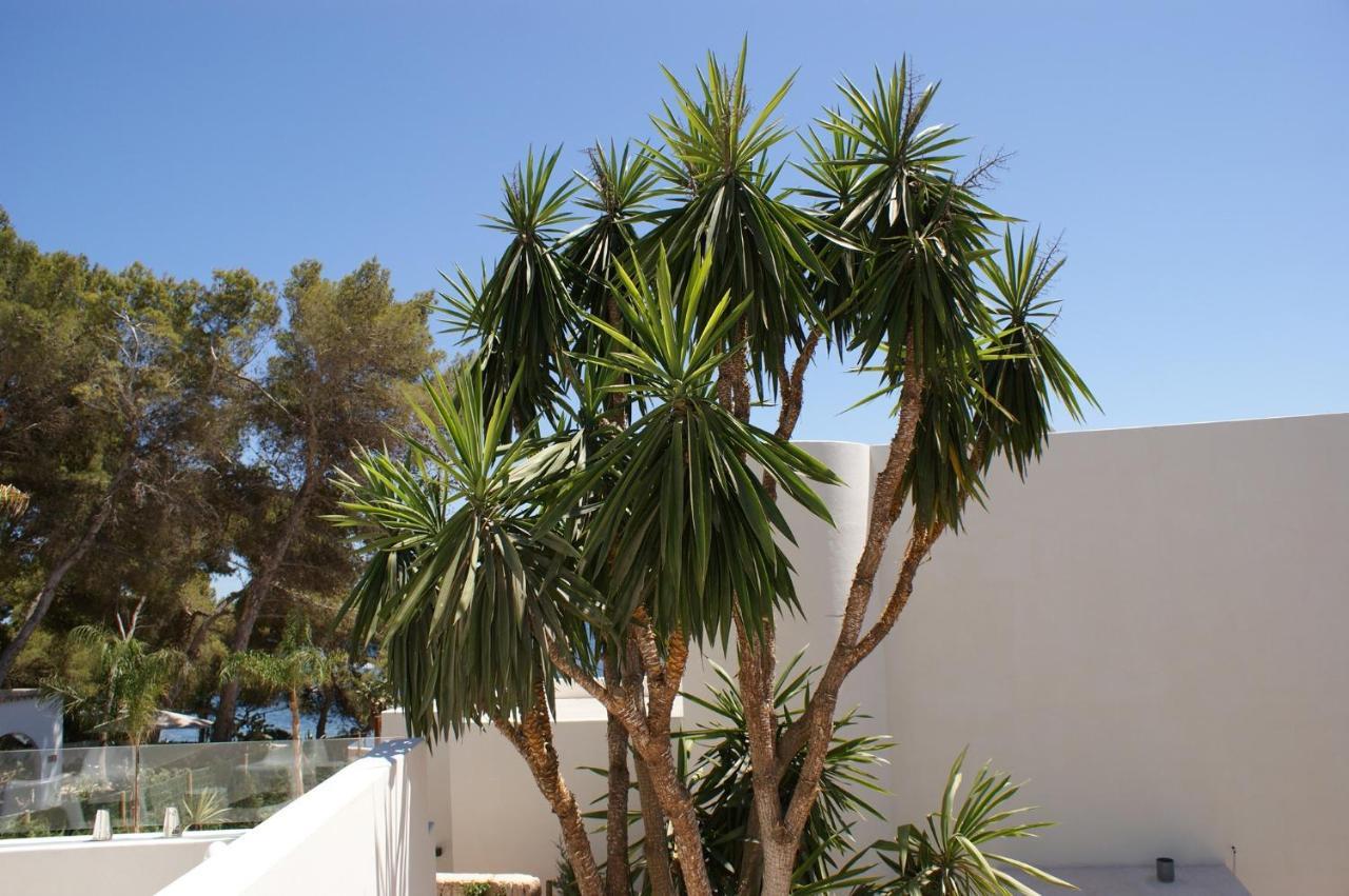 Casa Tranquila Sargamassa Santa Eulalia Ibiza Villa
