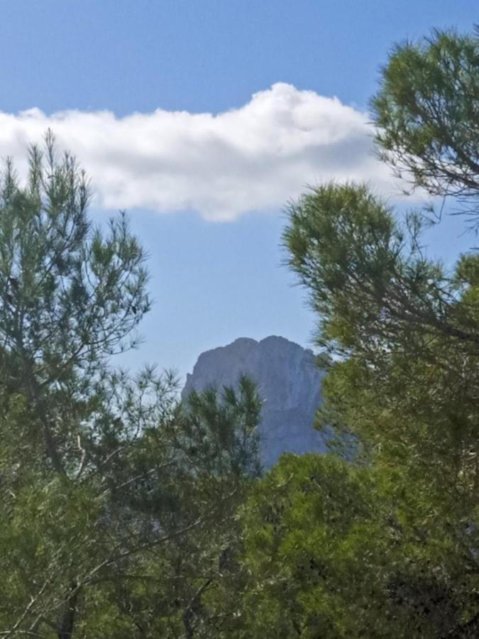 Luxury tent Pirats Des Vedra *
