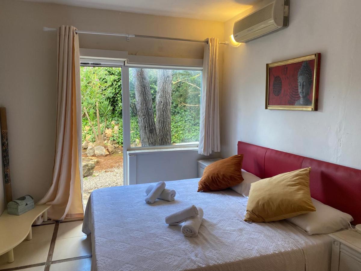 Iara Guest house