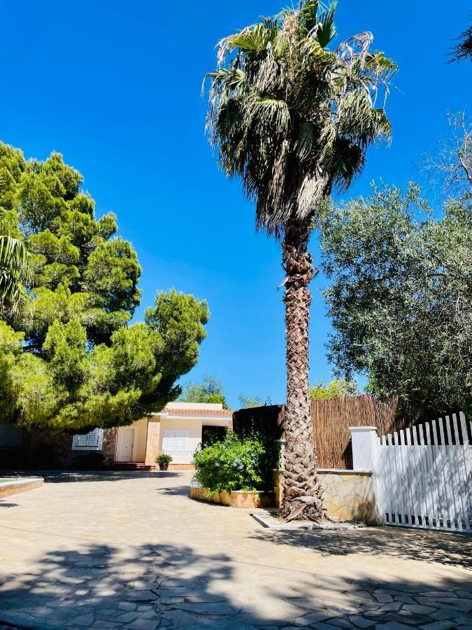 Villa Con Piscina Gigante