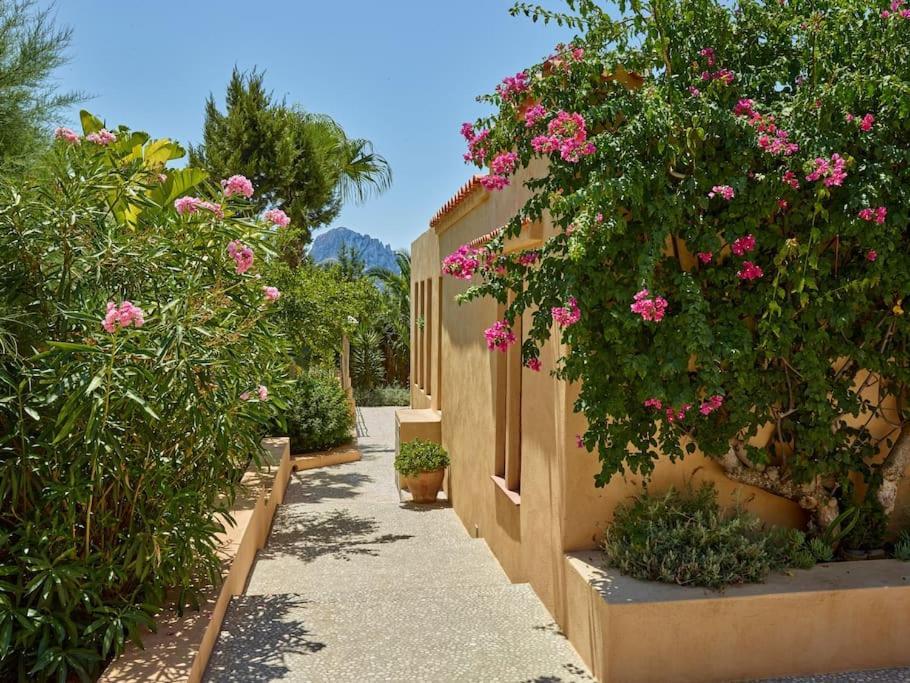 Kasbah 1 *