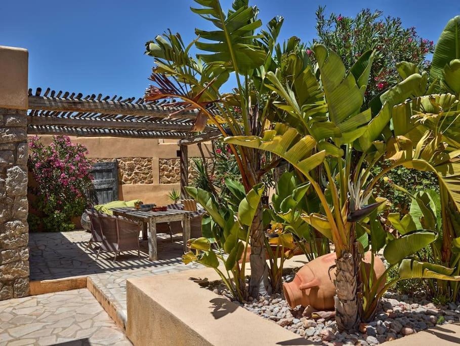 Villa Kasbah 3 *