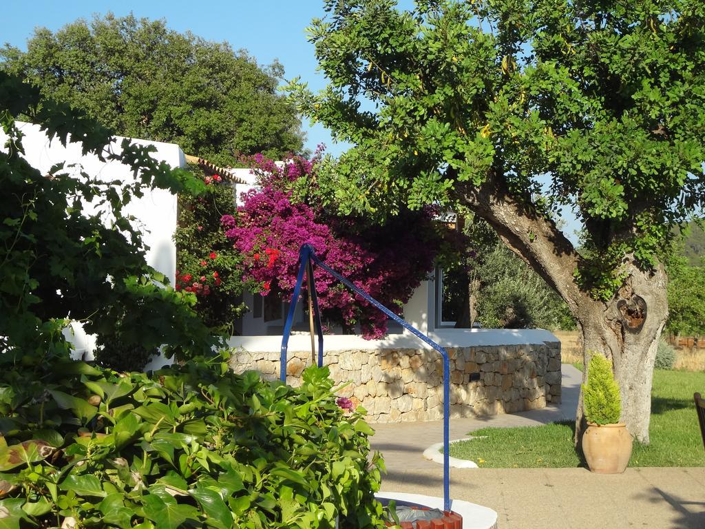 Sa Vinya D'en Palerm * Sant Miquel De Balansat