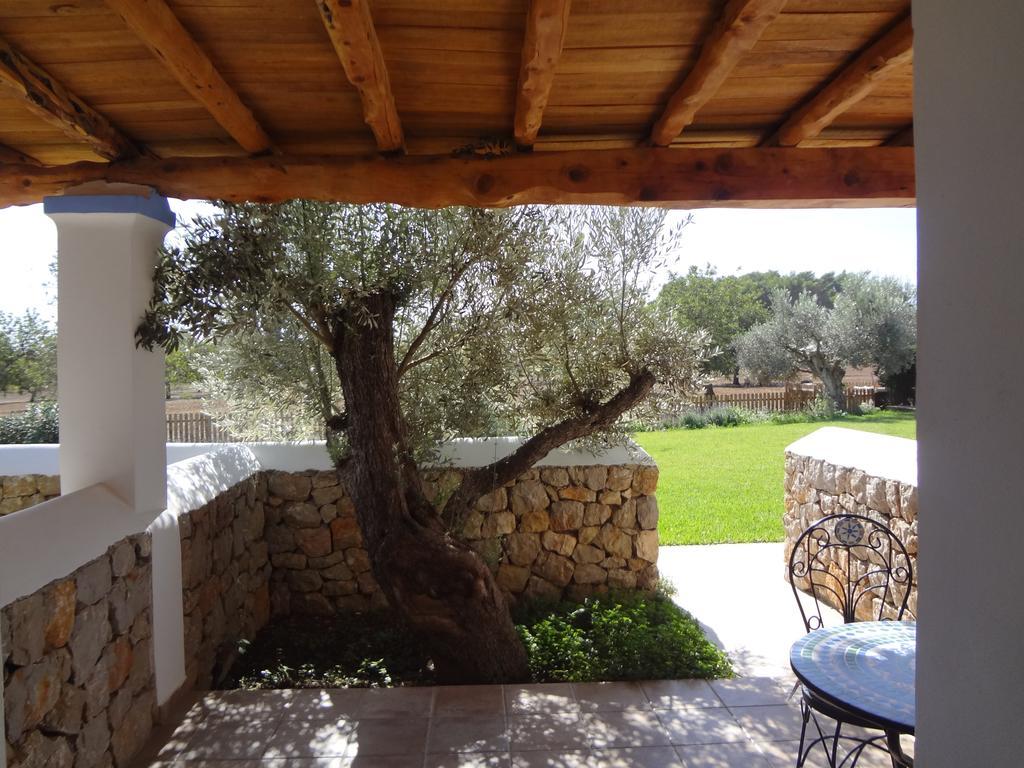 Sa Vinya D'en Palerm Farm stay