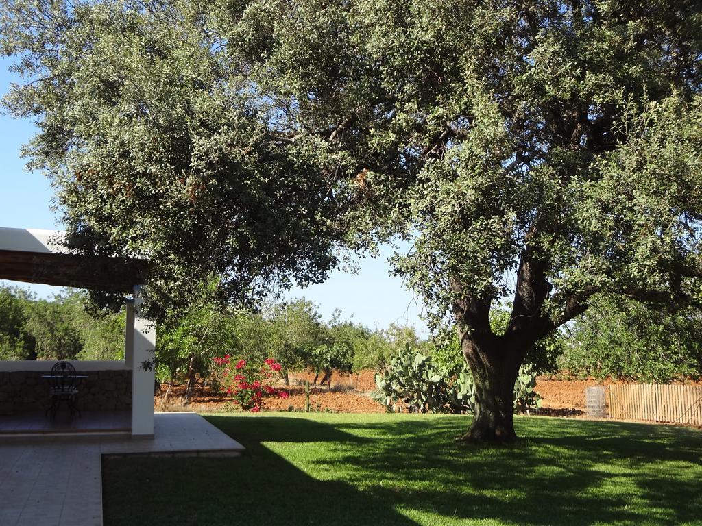 Farm stay Sa Vinya D'en Palerm