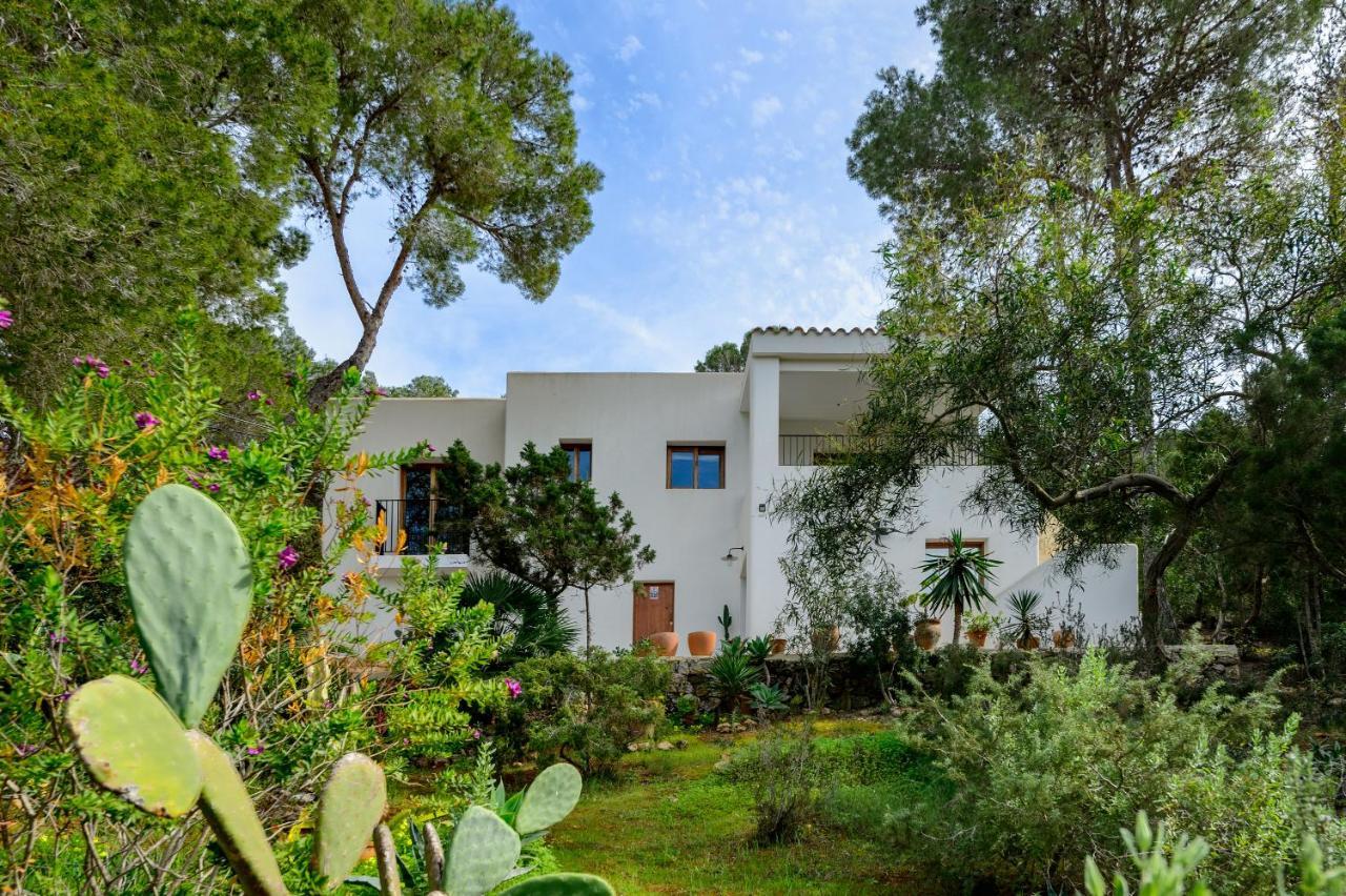 Casa Juliarina Vakantiehuis San José