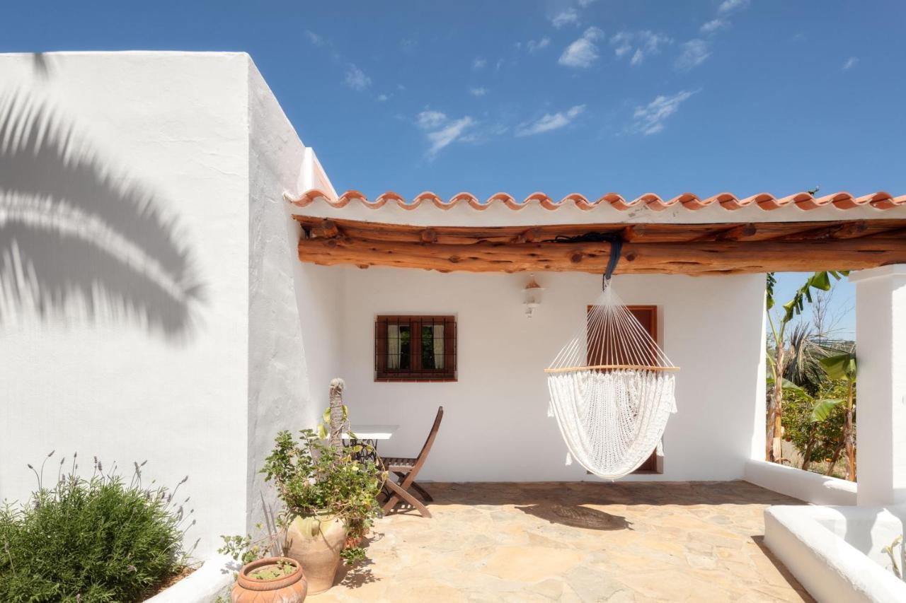 Teo - In Ibiza Villa