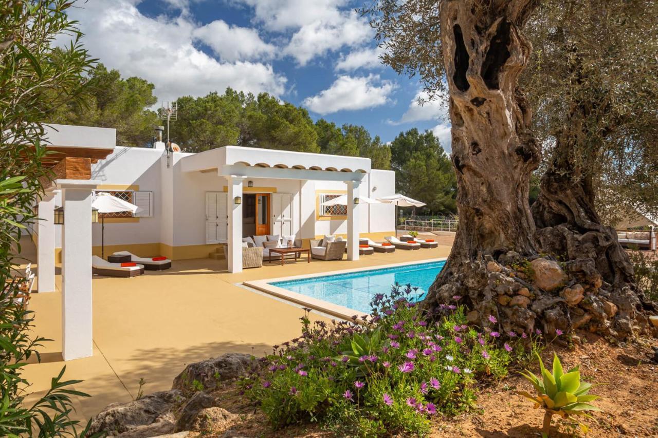 Villa Cana Fina San Rafael De Sa Creu
