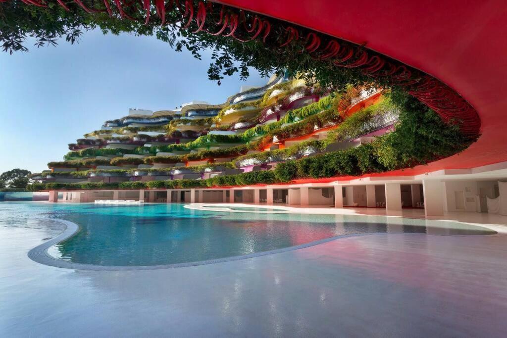 Amazing Boas-best Location *